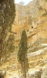 6. Wadi Fara. Izraelis. Šv. Karitono laura - (eremitų celės išskaptuotos olose).
